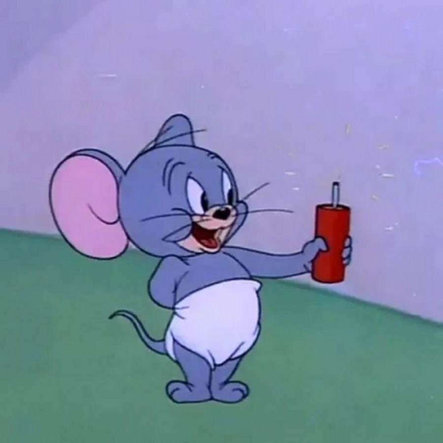 TuffyCoder, creator of StudyBonk